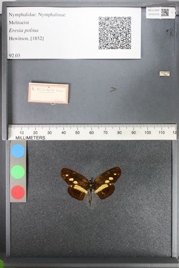 Media type: image;   Entomology 101015